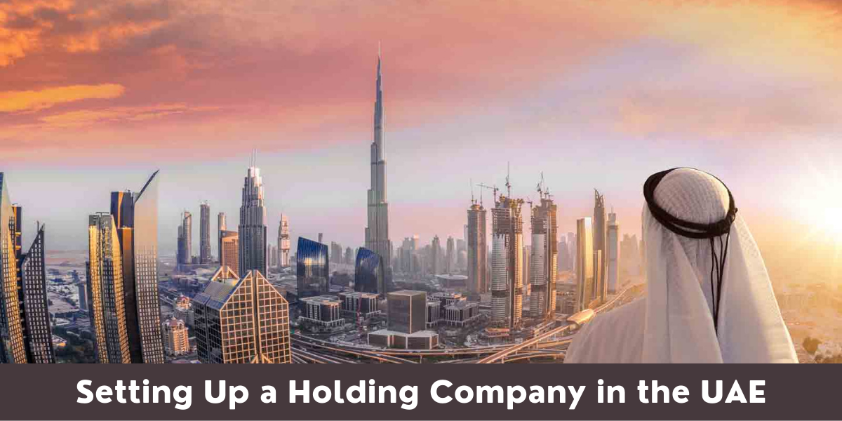 setting-up-a-holding-company-in-the-uae-riz-mona