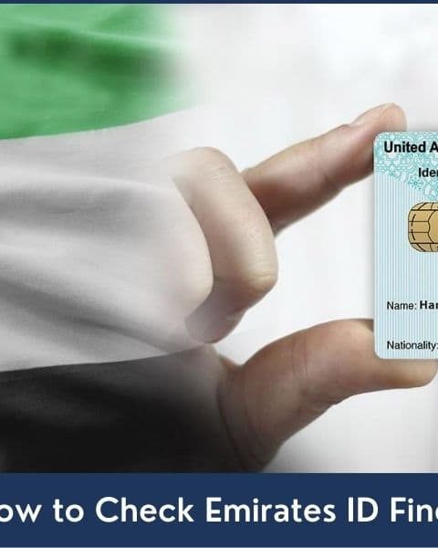 Complete Guide about How to Check Fine on Emirates ID